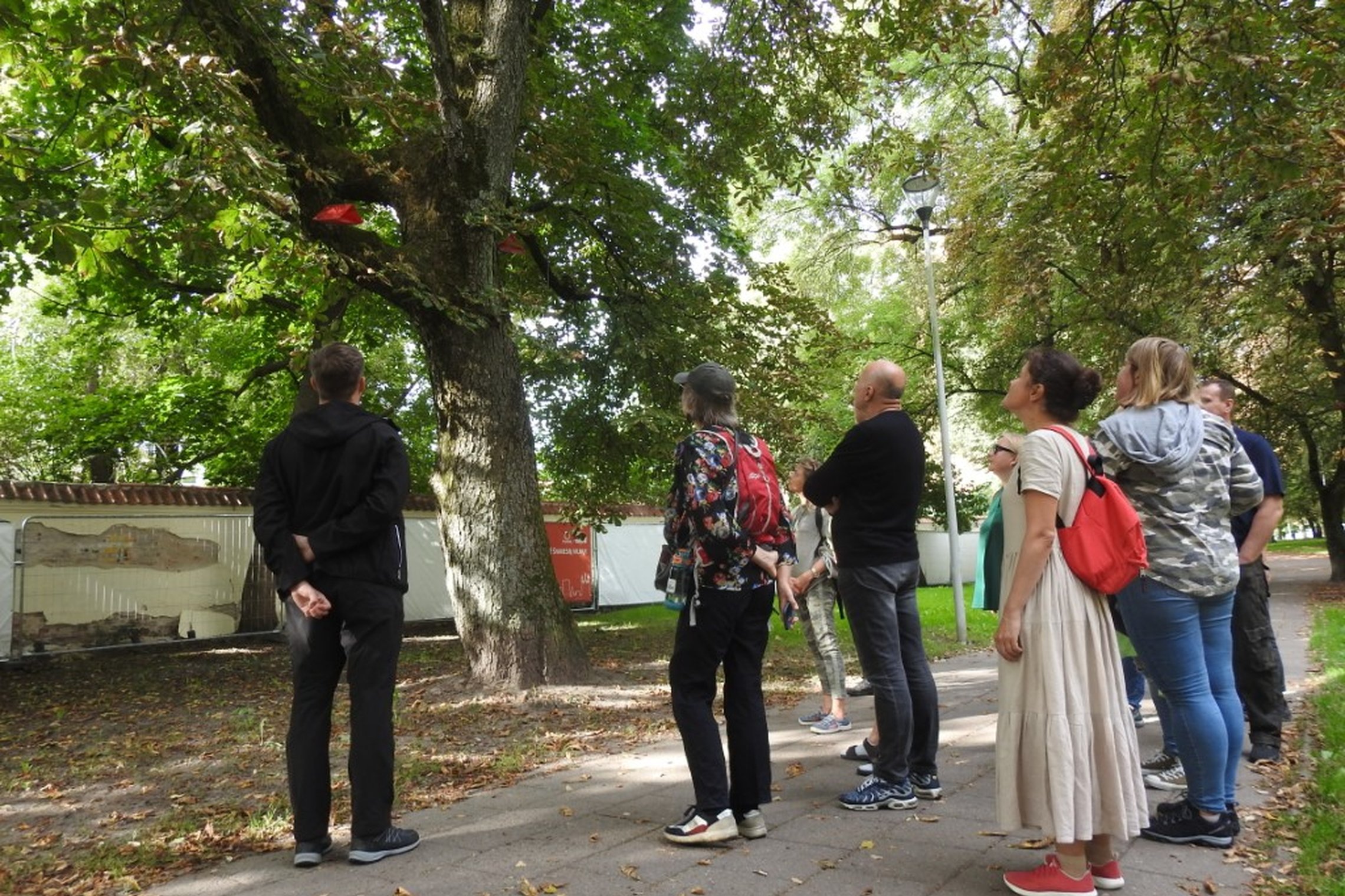 Apžiūrėti inkilai, lesyklėlės, paukščių stotelės Pilių parke.