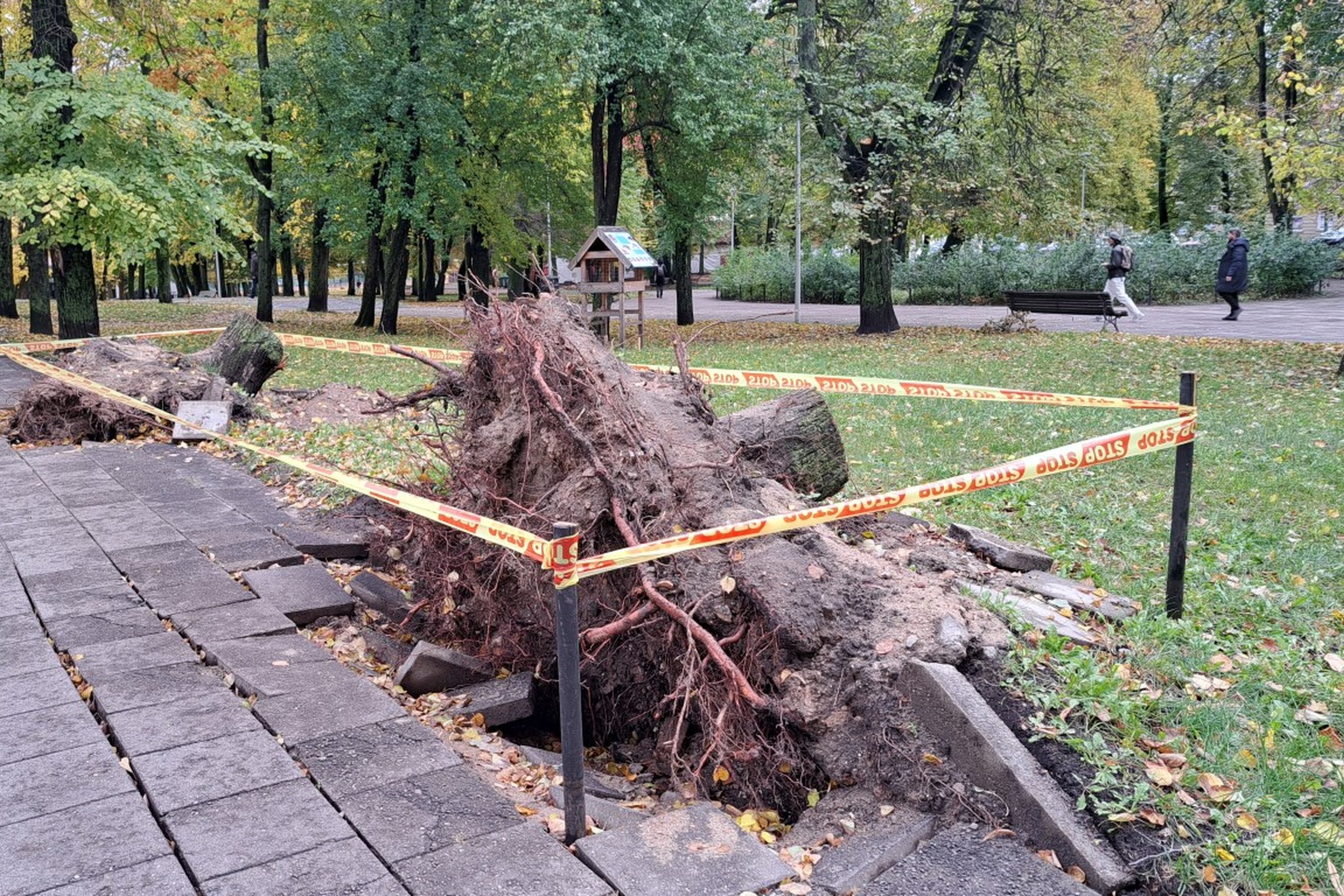 Giedra diena. Vilniaus pilių parke stop juosta aptverti du vėjo išversti kelmai, išverstos kelios plytelės ir dalis žemių. Fone vaikšto keli žmonės.