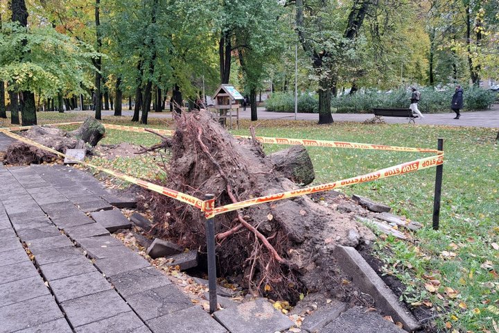  Giedra diena. Vilniaus pilių parke stop juosta aptverti du vėjo išversti kelmai, išverstos kelios plytelės ir dalis žemių. Fone vaikšto keli žmonės.