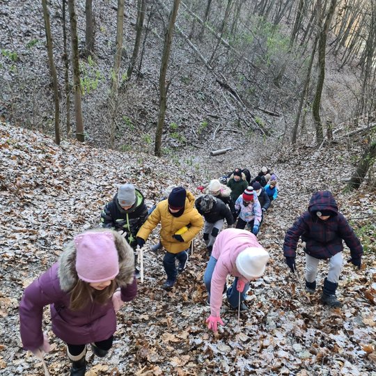 Moksleiviai kopia Didžiosios griovos šlaitu į Kalnų parką.