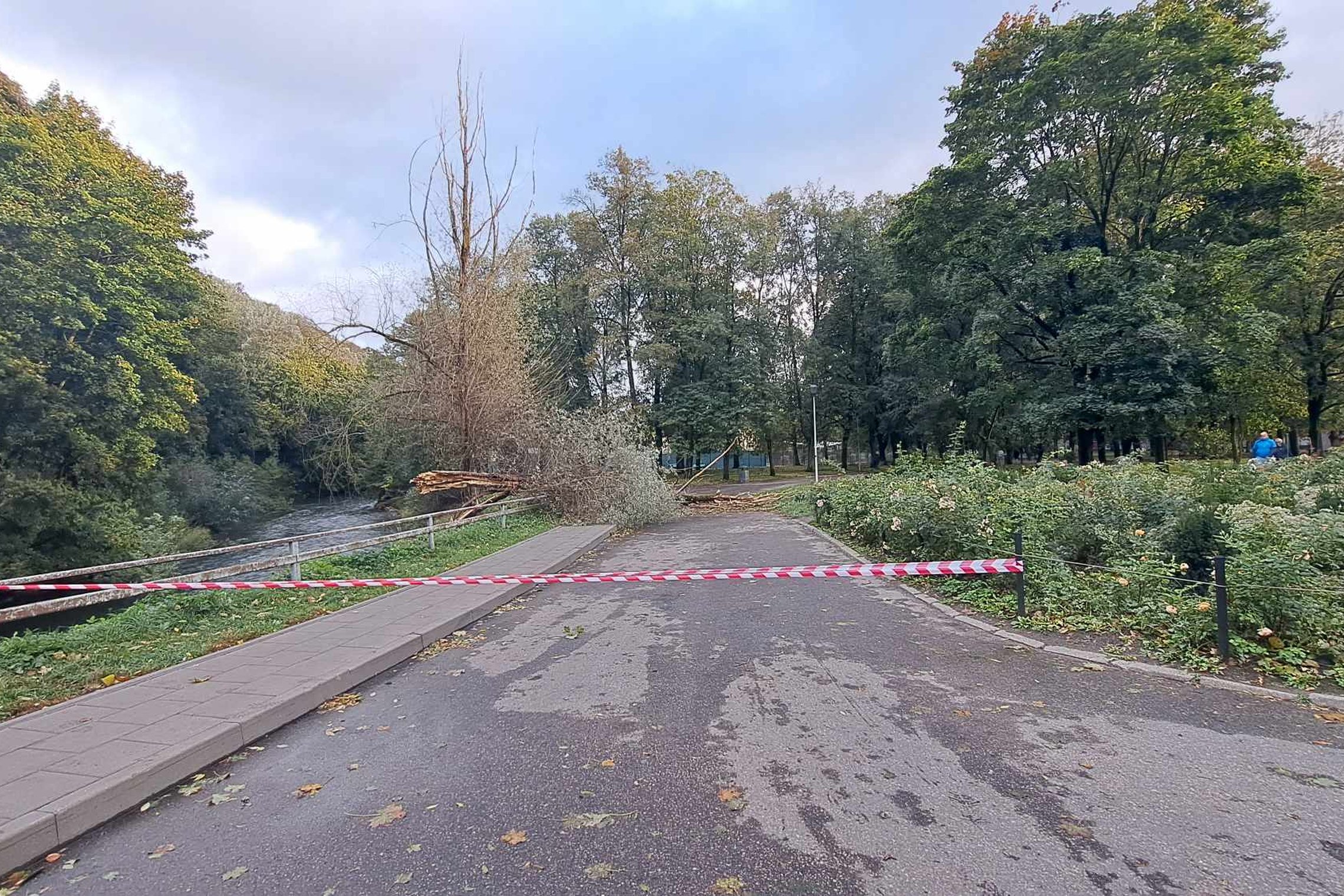Nuotrauka daryta prie Pilių parko, Trispalvės alėjoje. Per kelią ištiesta STOP juosta, reiškianti, kad negalima eiti toliau. Tolumoje matosi šių metų spalio 8 dienos stiprios vėtros padariniai: išvirtę medžiai, nulūžusios šakos, prikritę daug lapų.
