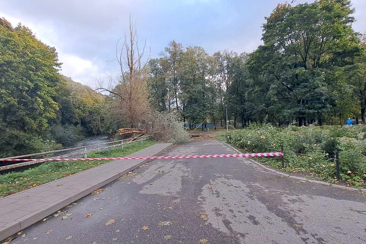 Nuotrauka daryta prie Pilių parko, Trispalvės alėjoje. Per kelią ištiesta STOP juosta, reiškianti, kad negalima eiti toliau. Tolumoje matosi šių metų spalio 8 dienos stiprios vėtros padariniai: išvirtę medžiai, nulūžusios šakos, prikritę daug lapų.