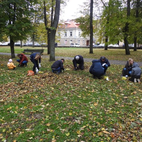 Dviguboje linijoje sutūpę talkininkai sodina narcizus Vilniaus pilių parke.