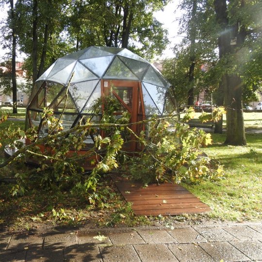 Priešais Vilniaus pilių kupolą yra nukritęs maždaug penkių metrų medis. Už kupolo galime matyti parką, apaugusį medeliais. Už parkelio matyti porą pastatų ir automobilių.