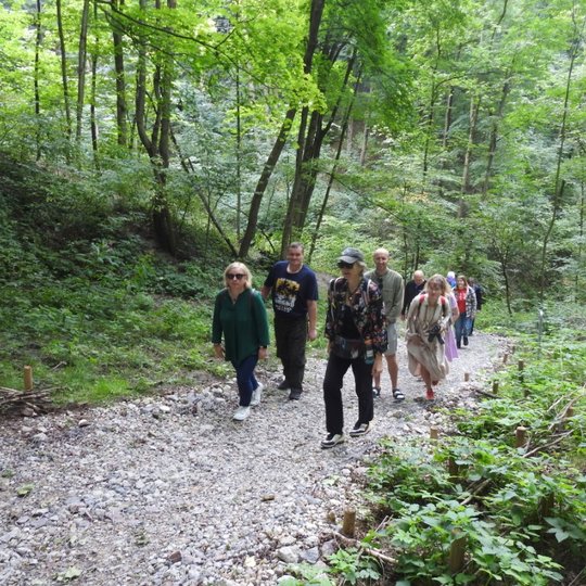 Buvo keliauta Didžiaja griova - kur įmanoma sutikti daugiausiai paukščių Vilniaus pilių teritorijoje.