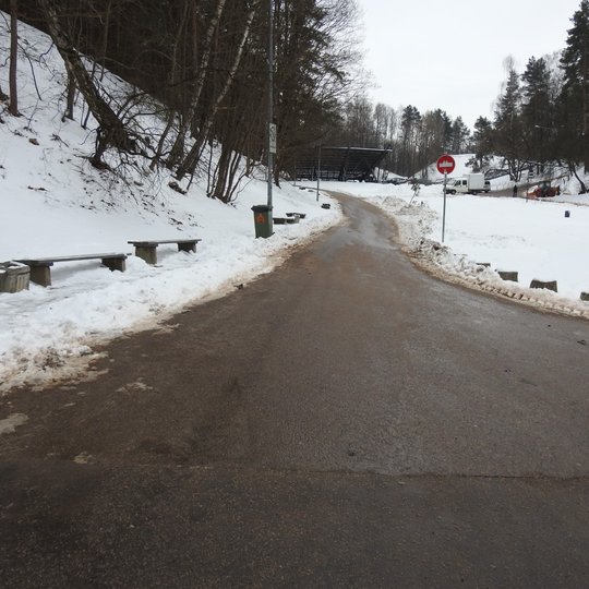 Nuvalytas kelias nuo Kreivosios pilies teritorijos.