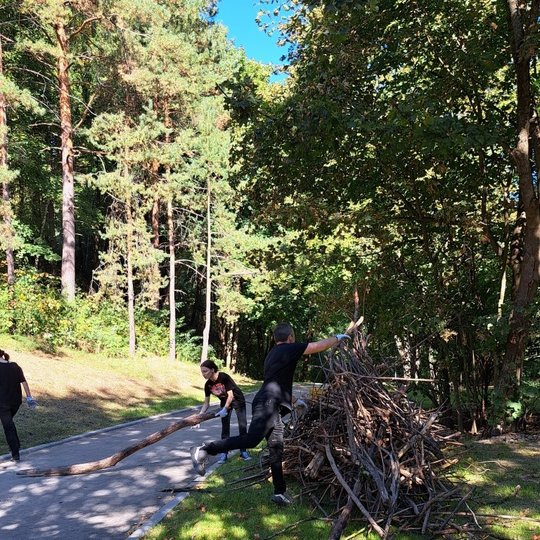 Parke yra trys dirbantys savanoriai, jie visi apsirengę juodai. Vienas savanoris krauna šakas į krūvą. Kita savanorė tempia didelę šaką link tos krūvos, o trečioji ieško daugiau šakų.