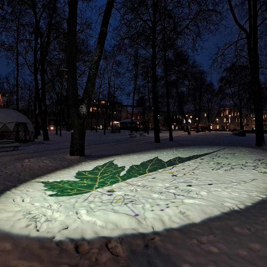 Pilių parko sniege žibantis paveikslas, kuriame matosi pusė žalio klevo lapo.