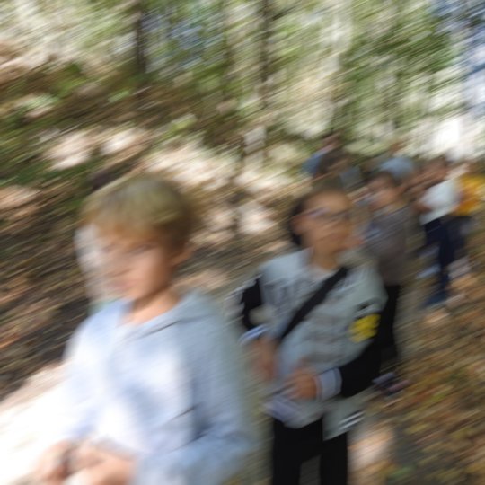 Susiliejusi nuotrauka, kurioje matosi keli vaikai, kurie leidžiasi žemyn siauru miško takeliu.