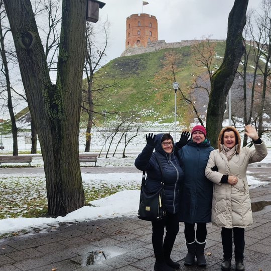 Lietuvos neįgaliųjų draugijos narės mojuoja iš Pilių parko. Už jų matosi Gedimino bokštas.