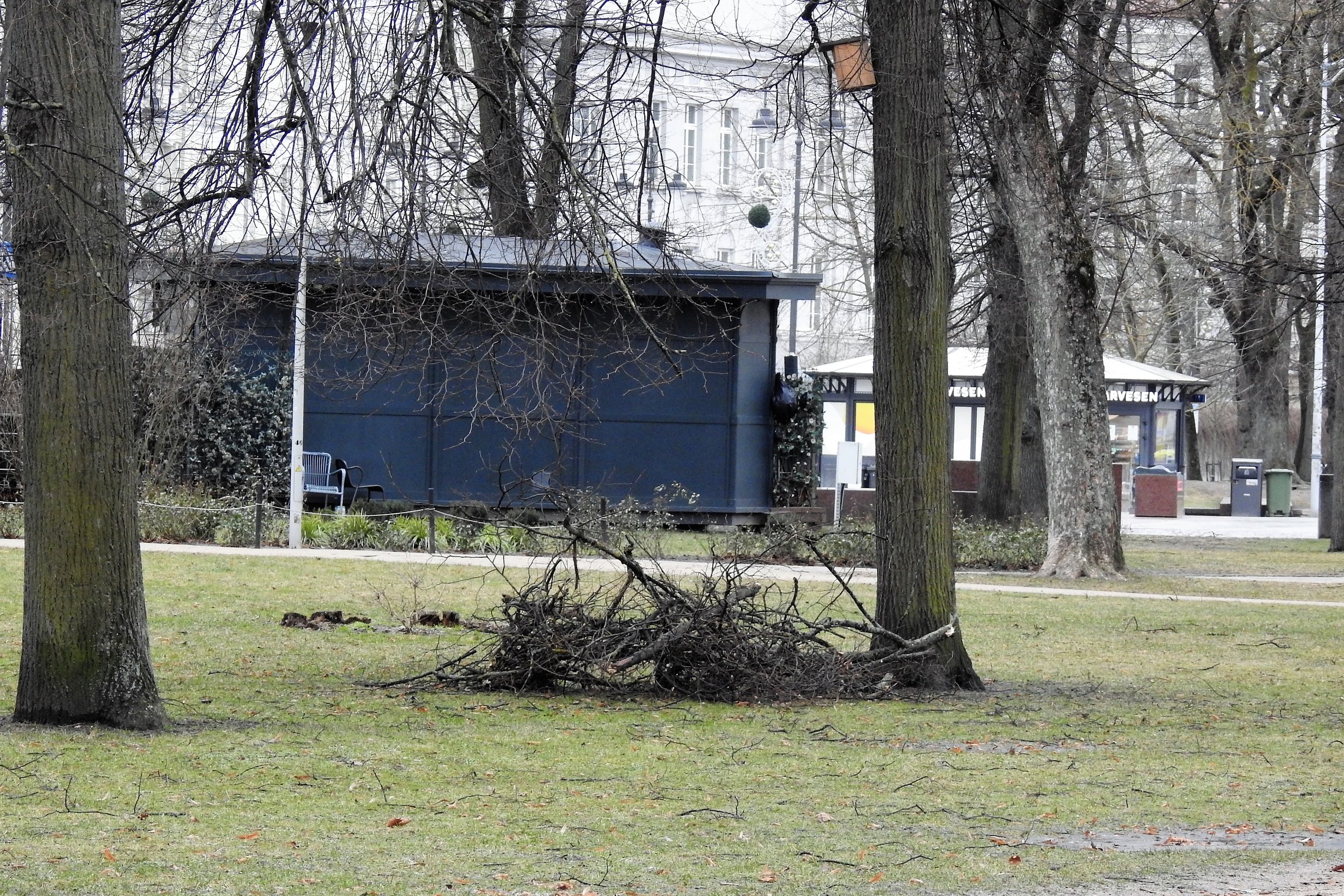 Nuotraukos darytos po audros. Pilių parke primesta daug šakų.