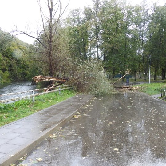 Nuotraukoje vaizduojamas medis, kuris buvo nulaužtas dėl labai stipraus vėjo. Jis augo prie kelio, už atitvaro, ir yra nukritęs skersai kelio. Kairėje nuotraukos pusėje matoma Vilnelė.
