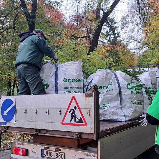 Nuotraukoje mašina su priekaba, į kurią trys žmonės deda maišus su rožių ūgliais. Visi maišai jau pilni, tik iš vieno dar krenta porą šakelių. Vienas žmogus jau stovi priekaboje ir tuos maišus užrišinėja, kiti likę, vyras ir moteris, stovi šalia mašinos i