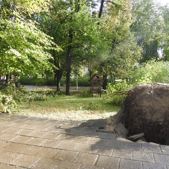 Parke, šalia takelio stovi paukščių medinė, namelio formos lesyklėlė. Arčiau šaligatvio, kuris yra nuotraukos priekyje dešinėje pusėje, matomos nukritusio medžio šaknys, kurios užstoja medžio kamieną.