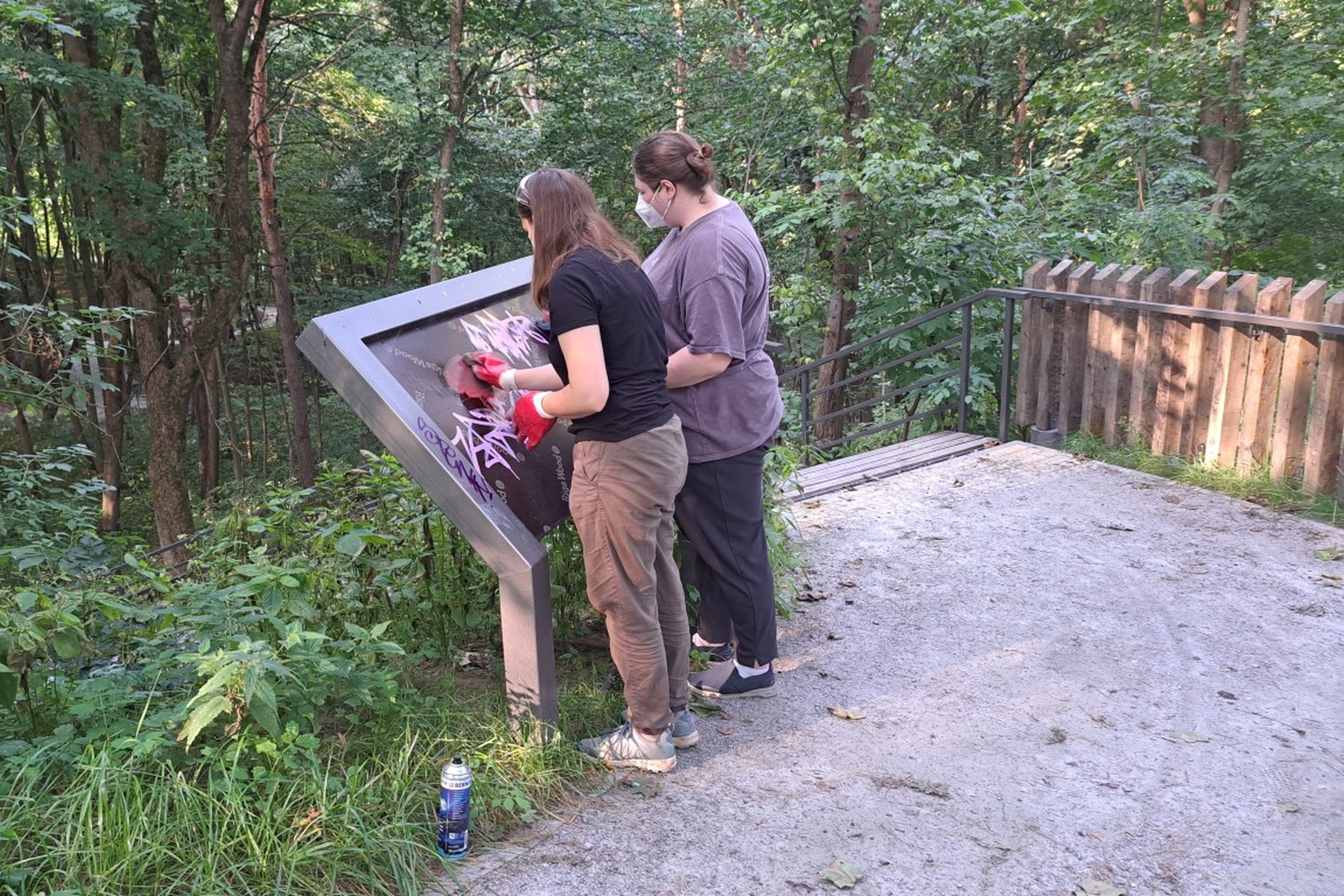 Savanorės valo stendą ant Trijų kryžių kalno.