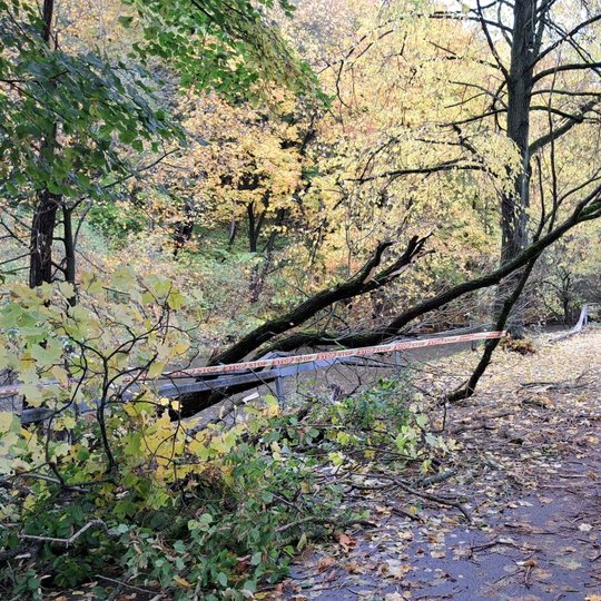 Ant takelio tarp Vilnios upės ir teniso kortų guli nukritusios šakos ir geltoni medžių lapai, link takelio svyra lūžtantis medis. Medis nuo tako atitvertas stop juosta. Tolumoje taku eina žmogus.