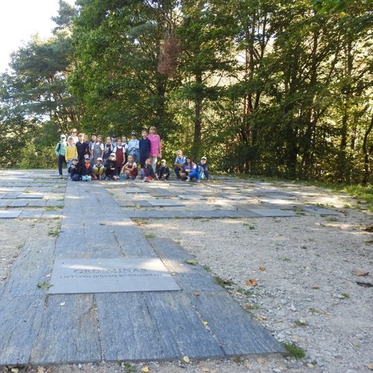 Nuotraukoje yra vaizduojami grupelėje sustoję pradinukai ir dvi mokytojos. Už jų yra daug medžių, o priešais juos yra Gedimino genealoginis medis, sudarytas iš granito plokštelių.