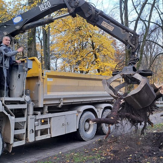 Traukiamas kelmas, prie kaušo prikabinus virvę.