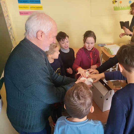Klasėje edukatorius Stasys trečiokams rodo baltą karvelį.