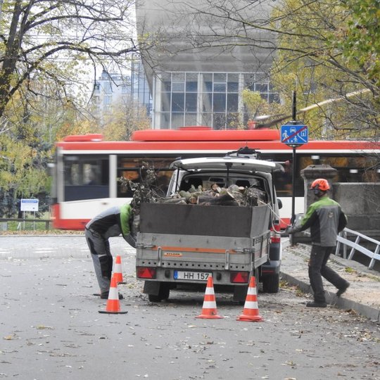 Fone šviesaus pastato ir greitai pravažiuojančio raudono troleibuso stovi nedidelis sunkvežimis, prikrautas įvairiausių šakų. Darbininkai, atlikę savo darbą, ruošiasi išvažiuoti.