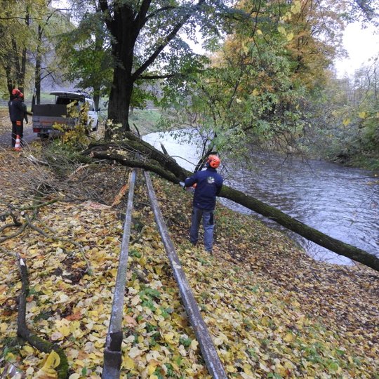 Vaizduojamas medkirtys, stovintis prie nuvirtusio medžio, kuris tiesias iki pat pakrantės žemyn. Tarp įvairiaspalvių lapų guli šakos. Šalia mašinos stovi kitas medkirtys, kuris ruošiasi jas sukrauti.