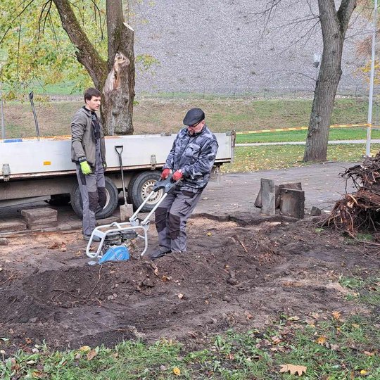 Darbininkai lygina žemę, kur ką`tik buvo išvirtęs kelmas.
