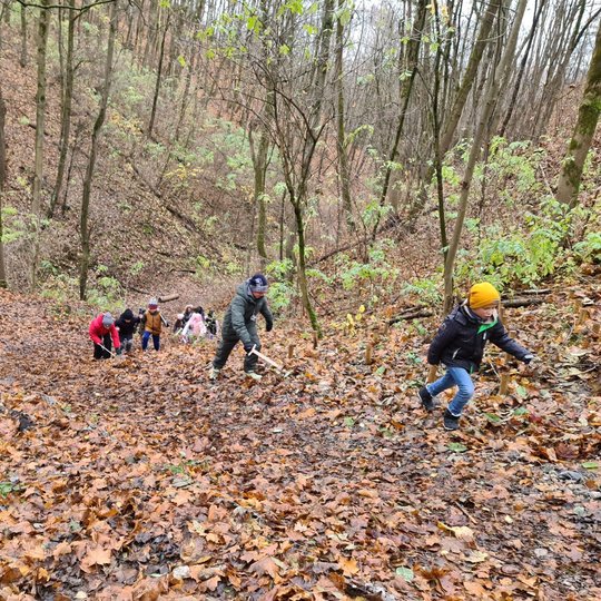 Mokiniai kopia DIdžiosios griovos šlaitu, Kalnų parke.