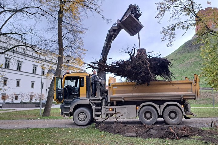 Geltonas sunkvežimis, prikabinęs prie kaušo virvę, traukia kelmą į priekabą.