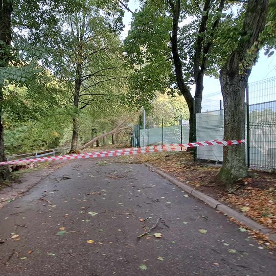 Nuotraukoje matomas pėsčiųjų takas, kurio kairėje pusėje yra medžiai, o dešinėje pusėje yra aukšta, žalia plėvele apdengta tvora. Takas yra aptvertas įspėjamąja baltai raudona juosta. Kiek toliau matomas nuvirtęs medis, kurio viršūnė yra įstrigusi tvoroje