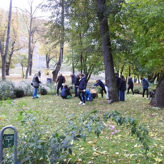 Talkininkai sodina narcizus Vilniaus pilių parke.