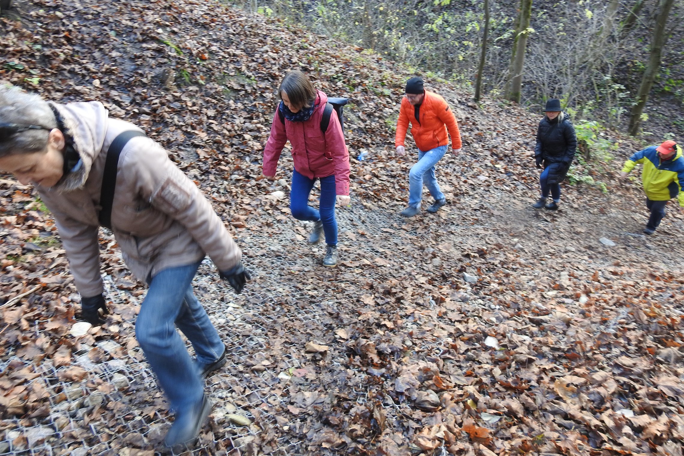 Ekskursijos dalyviai kopia Didžiąja Griova.