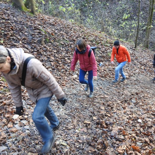 Ekskursijos dalyviai kopia Didžiąja Griova.