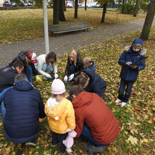 Ratu sutūpę talkininkai sodina narcizus. 