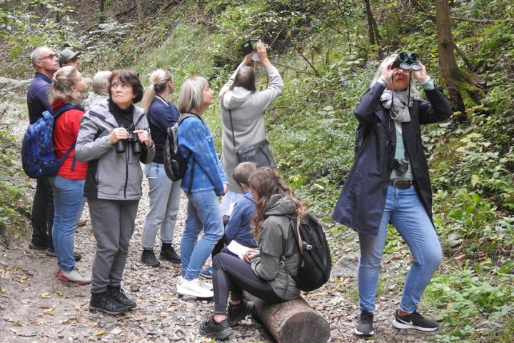 Grupėlė žmonių stovi miške. Kai kurie žmonės su žiūronais  ieško, stebi paukščius. Kai kurie žmonės atsisėdę ant kelmelio, kiti fotografuoja.