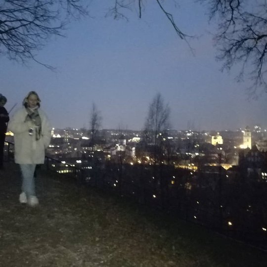 Vakarinė Vilniaus panorama, iš kairės puses matosi Merginos.