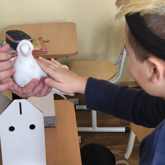 Berniukas glosto balta karvelį, kurį laiko edukatorius Stasys.
