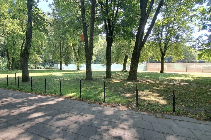 Sudygusi veja Pilių parke džiugina šviesiai žaliais daigeliais.