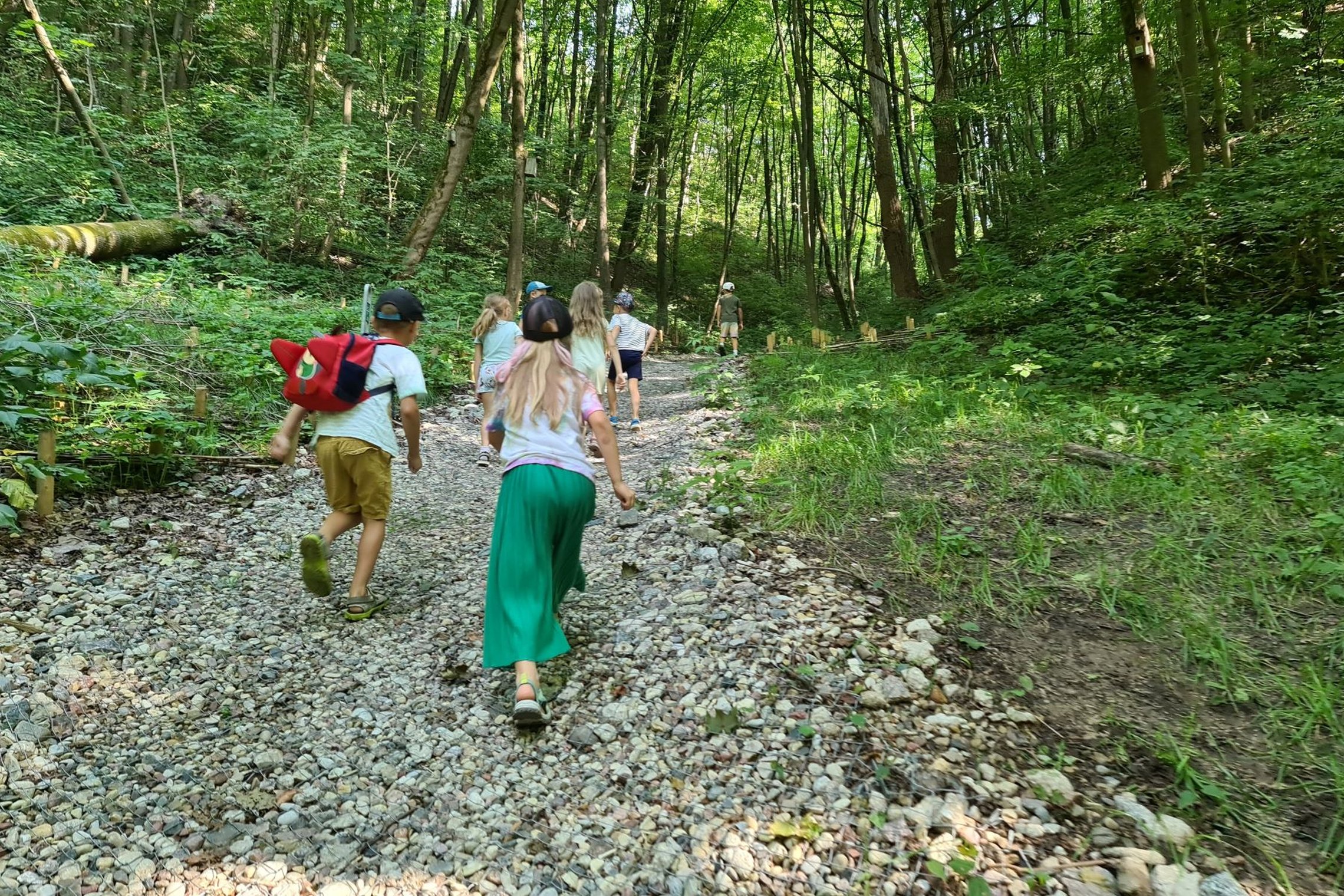 Žygiuojama Kreivosios pilies vietos link per Didžiosios griovos takus.