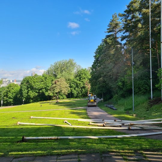 Balti vamzdžiai išguldyti ant pievutės šalia pušų.