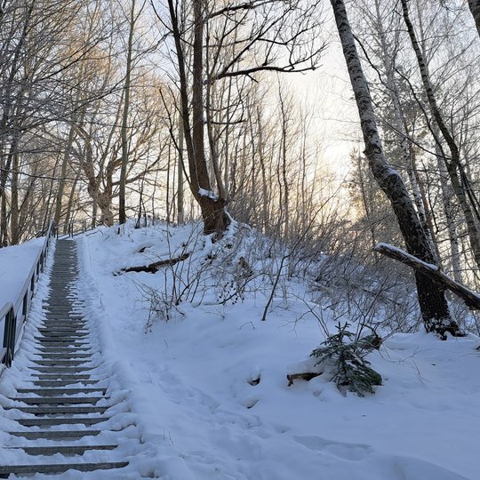 Pašalintas medis nuo Altanos kalno laiptų.