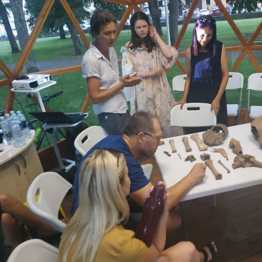 Zooarcheologe dr. Giedre Piličiauskiene Vilniaus pilių kupole demonstruoja kokie gyvūnai buvo rasti archeologiniuose kasinėjimuose Vilniaus pilyse.
