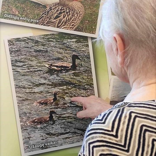 Senjorė žiūri informaciją apie didžiąją antį.