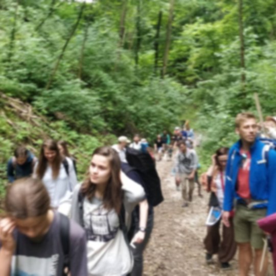 Gausus ekskursantų būrys kopia Didžiąja Griova.