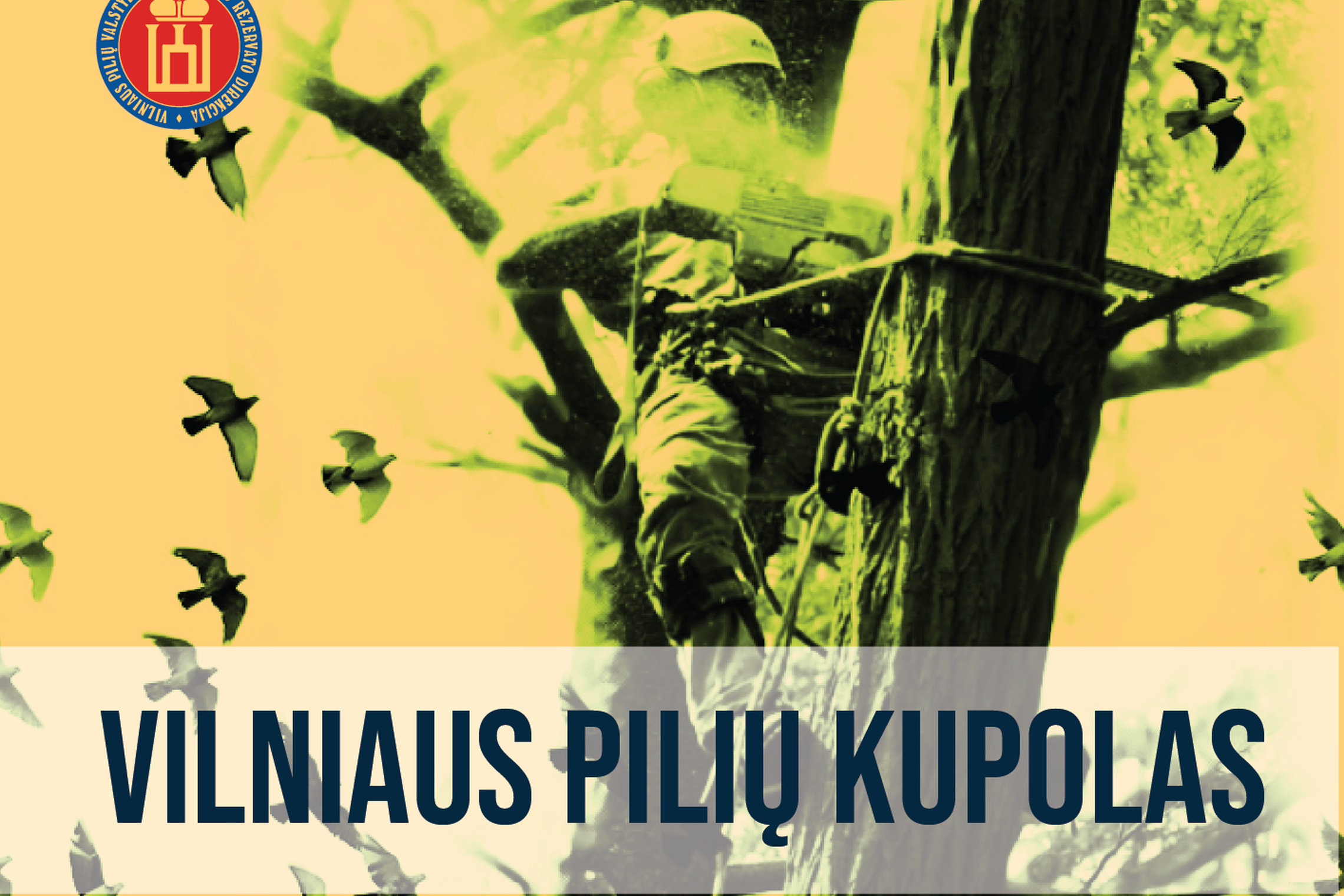 Renginio afiša. Žalio fono nuotrauka, kuriame užfiksuotas arboristas bei praskriejantis paukščiai. 
