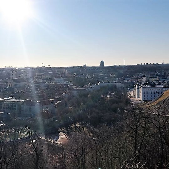 Vilniaus panorama nuo Trijų Kryžių kalno (aš taip pamaniau). Pro medžių šakų tankumynę (pirmame plane) išnyra daugybė namų, daugybė stogų, gatvių nematyti – vien tik pastatai. Dešinėje, arčiau – Gedimino kalnas ir Gedimino pilis, šalia boluoja Valdovų rūm