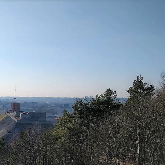 Vilniaus panorama nuo Trijų Kryžių kalno. Matosi Gedimino kalnas.
