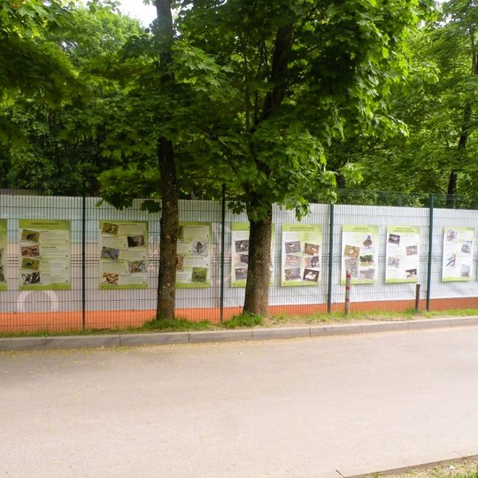 Paukščių paroda.
