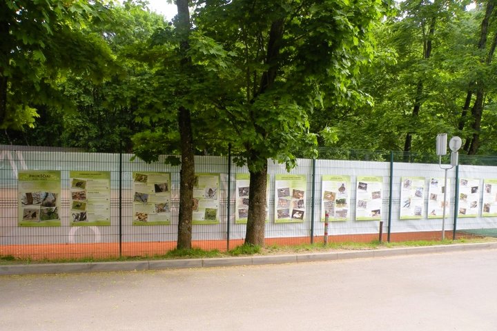 Paukščių paroda.