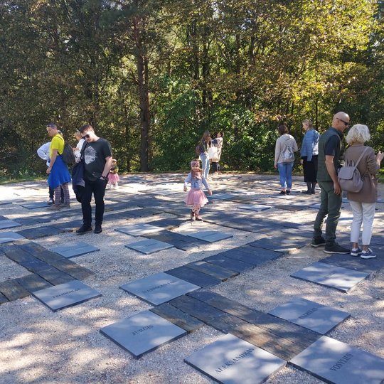 Ekskursijos dalyviai ant Karigailos kalvos, apžiūrinėja Gedimino genealoginį medį.