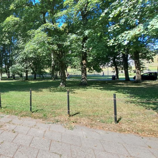Aplink užsodintą veją vis dar palikti apsauginiai kuolai, kurie nuolatos prižiūrimi.